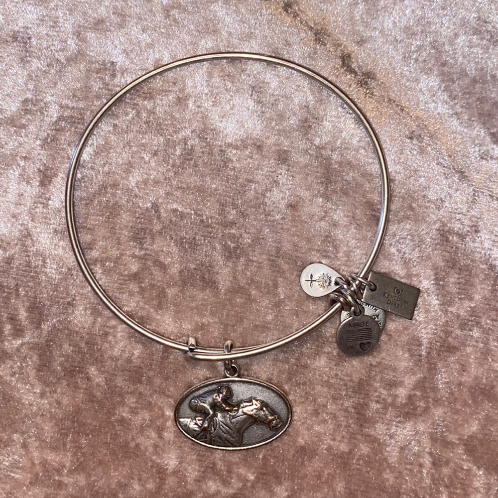 Racehorse Alex and Ani - Picture 1 of 1